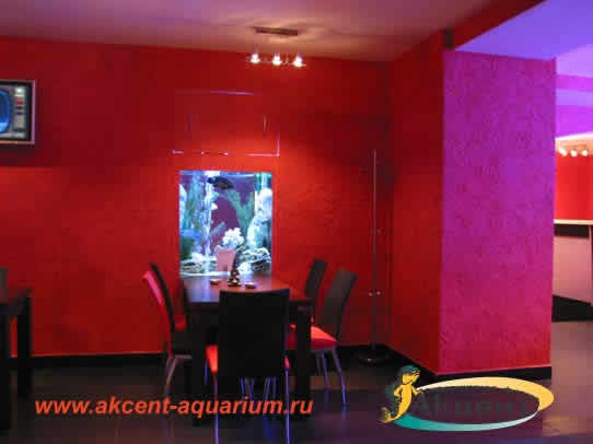 Акцент-Аквариум, аквариум просмотровый 500 литров встроенный в стену, кафе